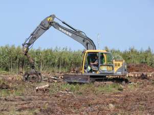 В Кургальский заказник вошла тяжёлая техника