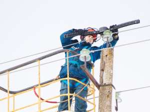 МОЭСК устанавливает птицезащитные устройства вдоль границ заказника «Журавлиная родина»