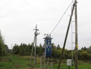 «Вологдаэнерго» обеспечило электричеством рыбоводческие комплексы по разведению мраморного сома