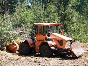 «Удмуртэнерго» расчистило 705 га трасс воздушных ЛЭП