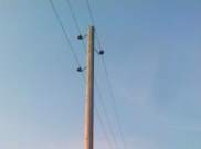 «Комиэнерго» отремонтировало 20 км сетей в пяти удаленных населенных пунктах Припечорья