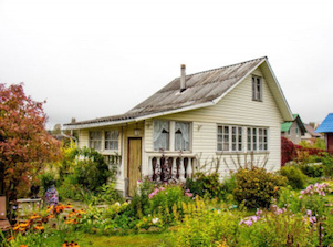 «Ленэнерго» обеспечило электроэнергией садоводство в Красном селе