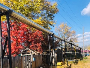 Якутский Теплоэнергосервис ежегодно подключает к централизованному теплоснабжению более 100 новых абонентов