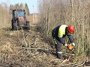 Рязанские энергетики расчистили более 900 га просек вдоль трасс ЛЭП
