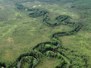Геологические запасы Чонских месторождений составляют около миллиарда тонн нефти