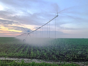 «Саратовские распределительные сети» предоставили 1,66 МВт мощности на развитие мелиоративного комплекса