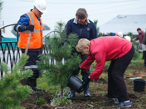 «Кузбассразрезуголь» озеленил два села в Новокузнецком районе