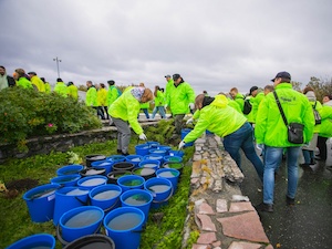Мурманский морской торговый порт присоединился к общегородской акции «Зелёный рекорд»