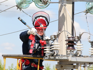 «Мордовэнерго» расчистит трассы воздушных ЛЭП на площади 82,7 га