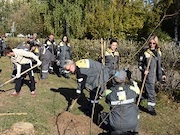 Сотрудники Рязанской НПК совместно с волонтерами высадили 135 деревьев