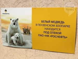 «Роснефть» помогла Пензенскому зоопарку отремонтировать вольер белого медведя