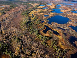 «Газпром нефть» открыла в ХМАО-Югре первую в России станцию мониторинга парниковых газов на месторождении