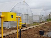 В селе Кучки Владимирской области газифицирован тепличный комплекс питомника декоративных растений
