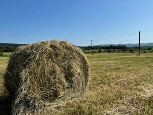«Россети Кубань» выдали 5,7 МВт мощности объектам агропрома на юго-западе Краснодарского края