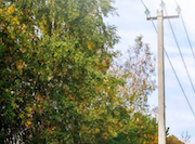 «Ярэнерго» заменит свыше 50 км неизолированного провода на СИП