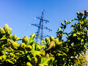 «Ставропольэнерго» заменило подвесные изоляторы на ЛЭП 110 кВ «Ставропольская ГРЭС – Красная Заря»