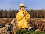 Волонтеры «Роснефти» высадили почти 60 тысяч хвойных деревьев