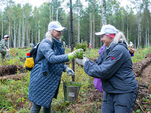 Волонтёры высадили 5 600 сеянцев ели возле энергоблока №4 Белоярской АЭС