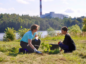 Сотрудники Псковской ГРЭС благоустраивают Аллею Первостроителей в поселке Дедовичи
