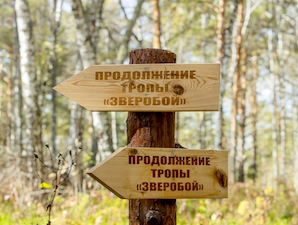 Новосибирская ГЭС обустроила экотропы в Легостаевском заповеднике