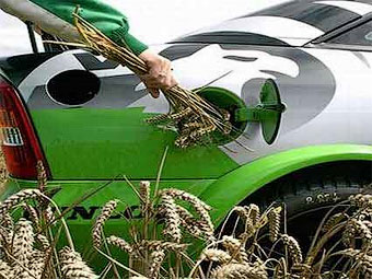 Ученые признали биотопливо вредным для окружающей среды