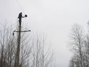 Последствия стихии устраняют 110 бригад «Псковэнерго»