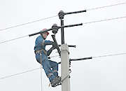 С заботой об экосфере Кузбасса