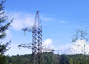 Лесные просеки под ЛЭП «Хакасэнерго» приведены в порядок