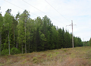 «Нижновэнерго» консолидирует сетевые активы