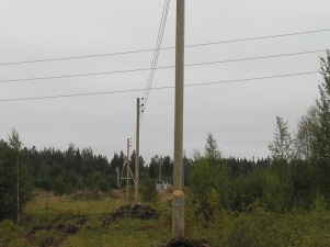 Бригады «Карелэнерго» устранили повреждение на линии электропередачи «Лоухи – Пяозеро»