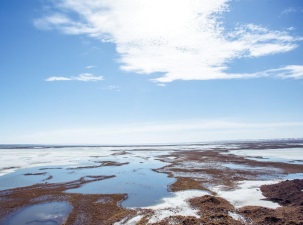 Ученые и нефтяники исследуют экосистему Обской губы