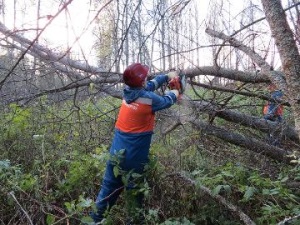 МРСК Северо-Запада оценит последствия штормового ветра в Карелии с помощью малой авиации