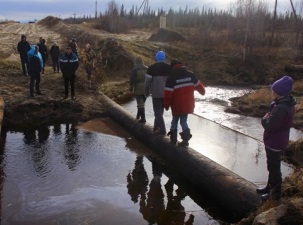 В Коми восстанавливают земли после нефтяных разливов