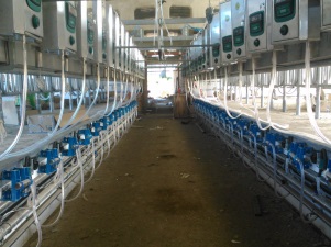 «Пермэнерго» выдало мощность для нового сельхозобъекта в Чусовском районе