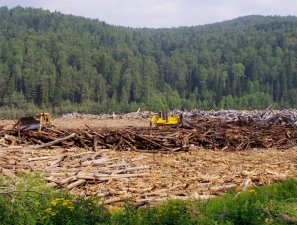 Водохранилище СШГЭС очистили от плавающей древесины