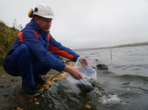 Среднеуральская ГРЭС четвертый год подряд выпускает в Исетское водохранилище рыбу ценных пород