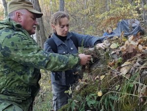 Нижне-Бурейская ГЭС инициировала очередную операцию по переносу редких растений из зоны будущего водохранилища