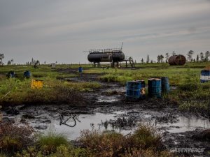 От разлива нефти на Ямале пострадал участок лесного фонда площадью 4,8 гектаров