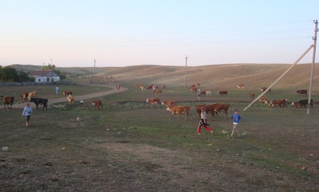 В«Оренбургэнерго» достроили и реконструровали 3,5 км ЛЭП 10 кВ