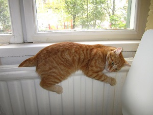 Саратовские ТСЖ и ЖСК подозревают в присвоении денежных средств собственников квартир