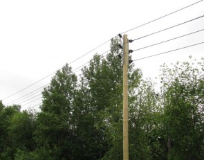 Закончены ремонты ЛЭП на территории двух сельских поселений в Медвежьегорском районе Карелии.