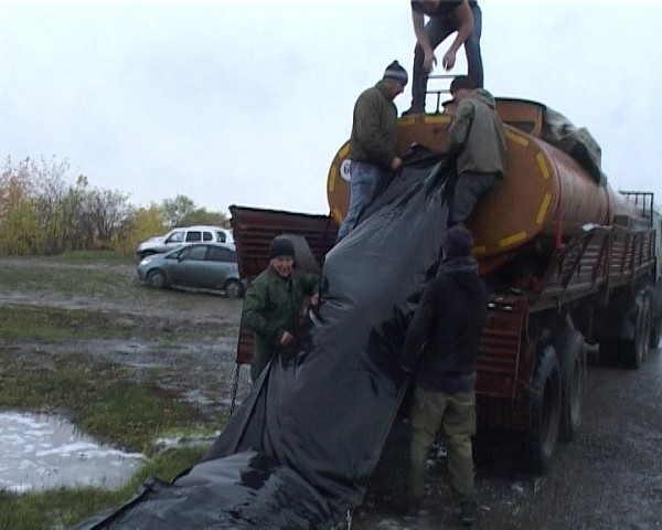 СГК выпустило в Беловское море 90 тонн растительноядной рыбы: амура и толстолобика