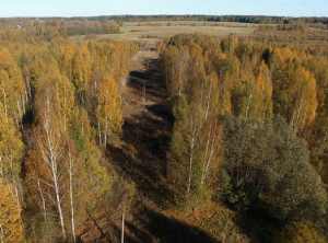 МРСК Центра контролирует расчистку просек ЛЭП с помощью беспилотников