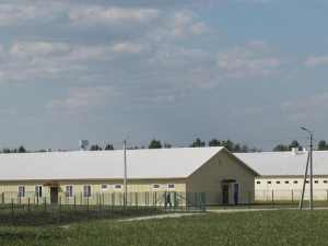 МРСК Центра выдала 2 МВт мощности новым крупным животноводческим комплексам