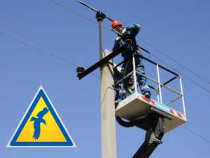 «Нижновэнерго» установит на ЛЭП 1500 комплектов птицезащитных устройств