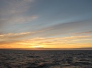 Росгеология провела сейсморазведку 3D на на шельфе Карского моря