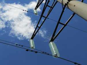 «Саратовские распределительные сети» смонтировали птицезащитные устройства на ЛЭП 110 кВ Красный Кут – Лепехинка