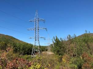 «Россети Кубань» отремонтировали две ключевые ЛЭП в Анапе