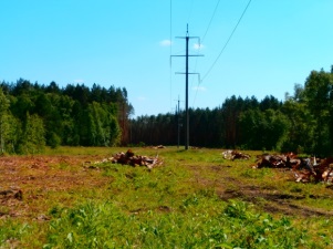 «Орелэнерго» расчистило 13,8 га просек ЛЭП