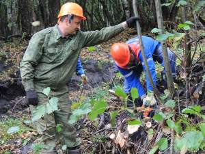 «Карачаево-Черкесскэнерго» повышает надежность энергоснабжения горнолыжного курорта Домбай